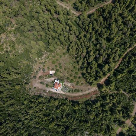 Dream House Capturing The Magic Of Nature Vlachia Dış mekan fotoğraf