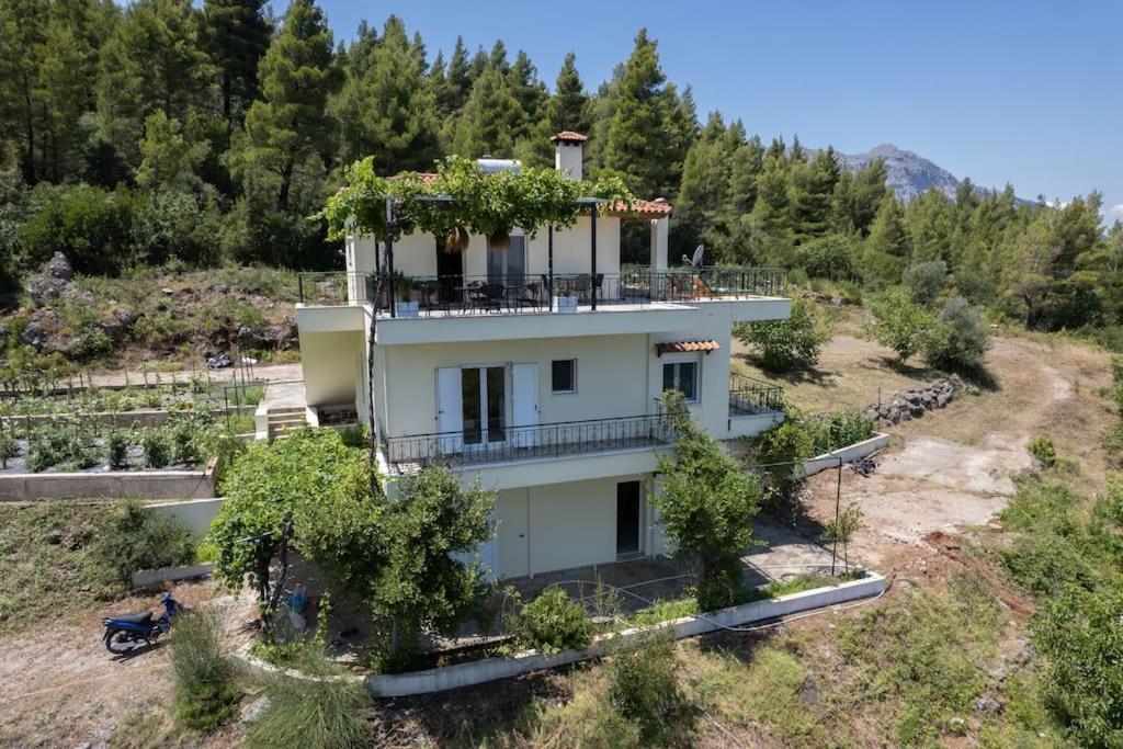Dream House Capturing The Magic Of Nature Vlachia Dış mekan fotoğraf