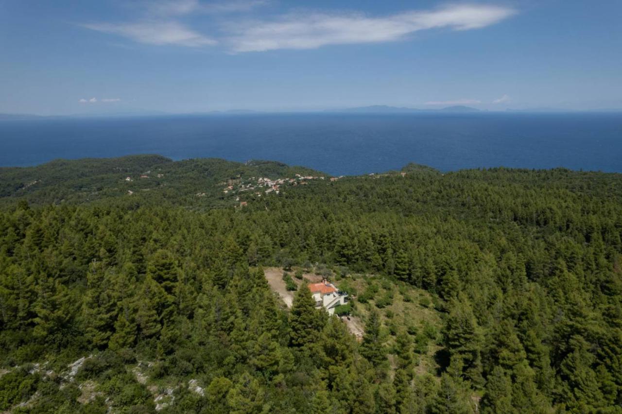 Dream House Capturing The Magic Of Nature Vlachia Dış mekan fotoğraf
