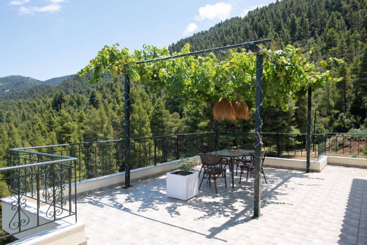 Dream House Capturing The Magic Of Nature Vlachia Dış mekan fotoğraf